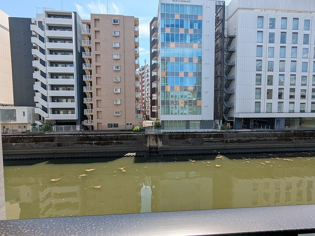 GEO ENT AKIHABARAの設備|3F、南向き眺望良好です