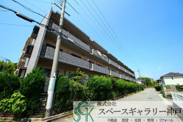 ブルーム池上