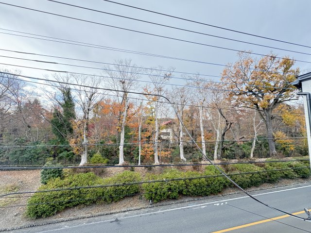 MELDIA福生Ⅲの展望
