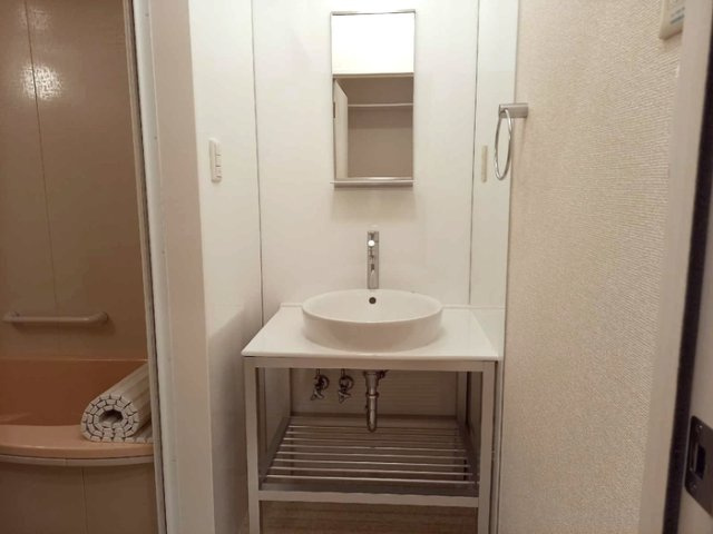 プレイン　Fの洗面所