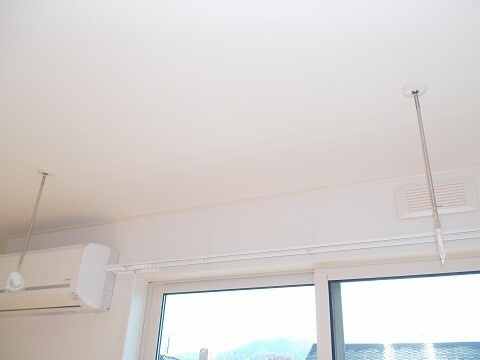 プリムローズのその他