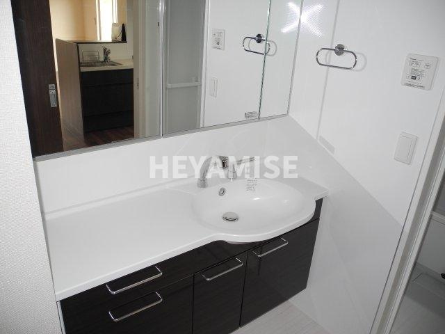 D-room真崎の洗面所