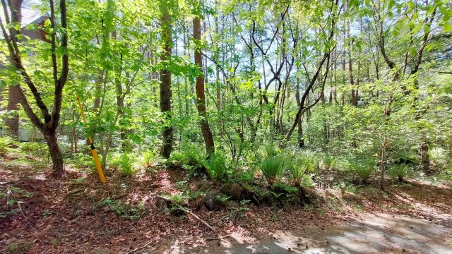 浅間ハイランドパーク 1,000㎡越えの広々とした土地のその他