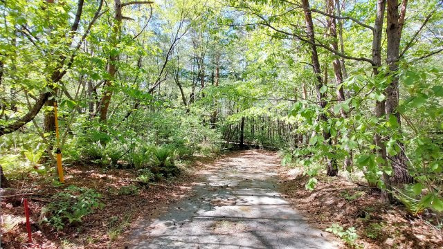 浅間ハイランドパーク 1,000㎡越えの広々とした土地の前面道路含む現地写真