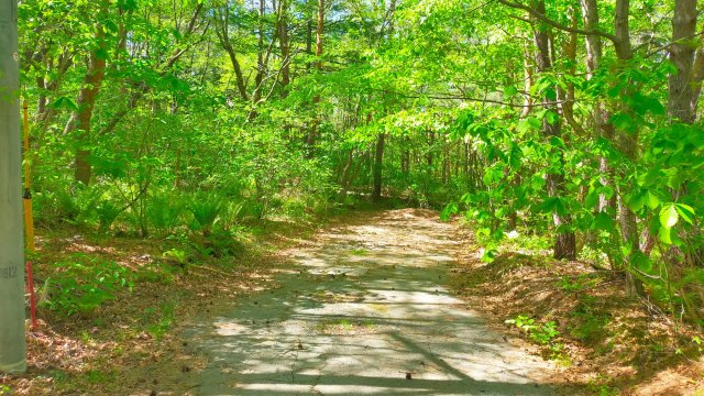 浅間ハイランドパーク 1,000㎡越えの広々とした土地の前面道路含む現地写真