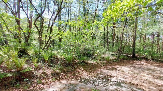 浅間ハイランドパーク 1,000㎡越えの広々とした土地のその他