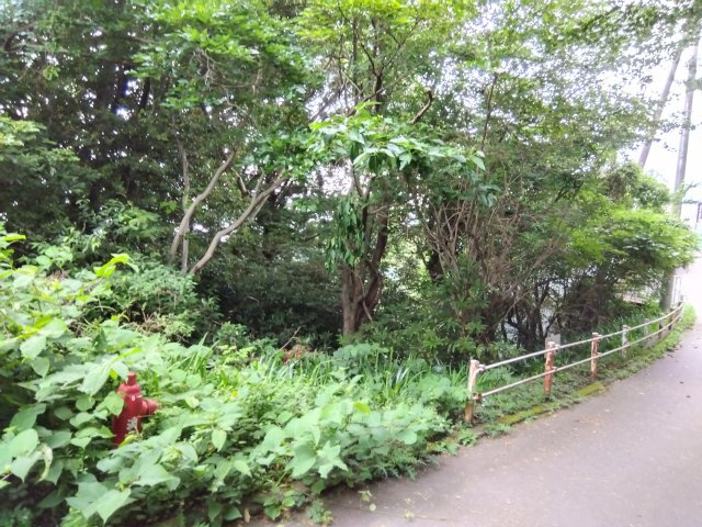 売土地　伊東市赤沢の周辺|『あかざわ恒陽台』の別荘地内に位置しています。閑静で落ち着いた雰囲気の住宅地です。周辺に緑も多くあります。