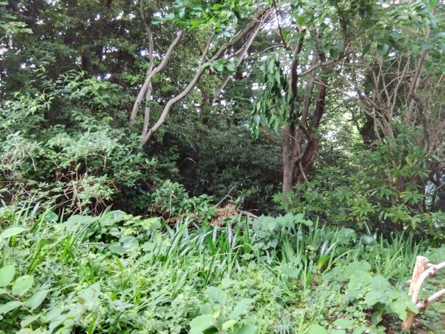 【周辺】の画像