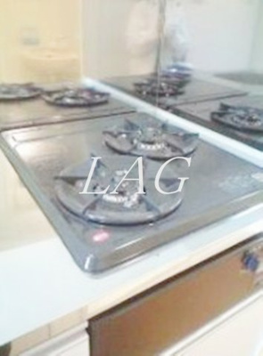 【その他】 | ビラクレシア