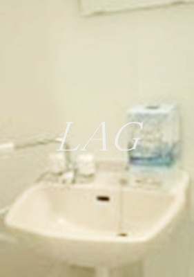 【洗面所】 | ビラクレシア | 洗面台です。