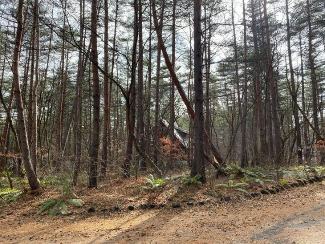 浅間ハイランドパークセキュリティゲートから一直線の角地