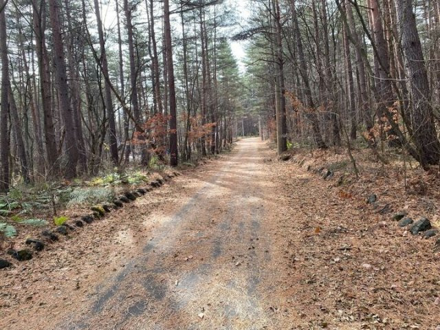 浅間ハイランドパークセキュリティゲートから一直線の角地の前面道路含む現地写真