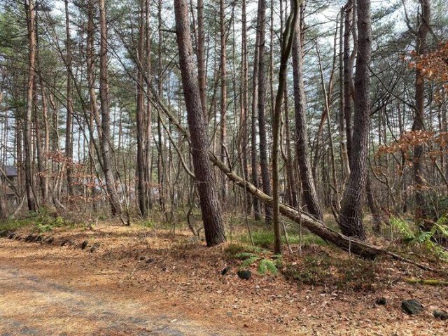 浅間ハイランドパークセキュリティゲートから一直線の角地の前面道路含む現地写真