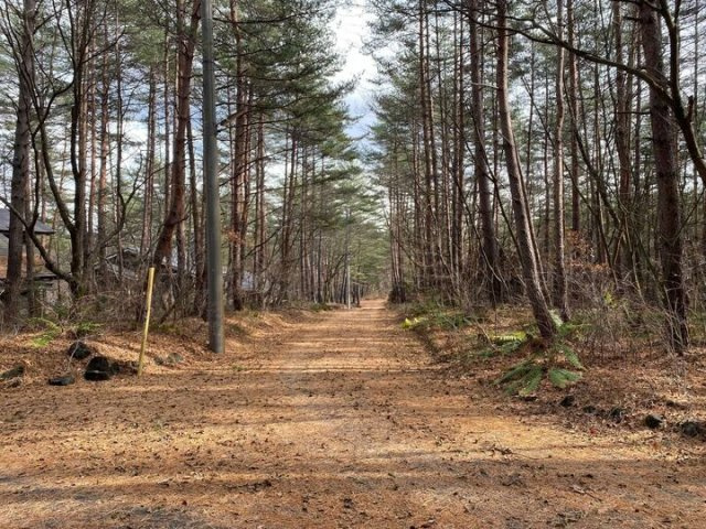 浅間ハイランドパークセキュリティゲートから一直線の角地の前面道路含む現地写真