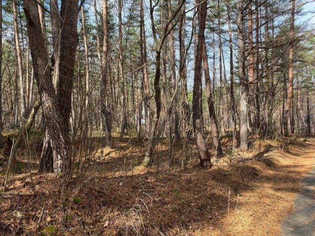 浅間ハイランドパーク奥まった静寂な場所の角地