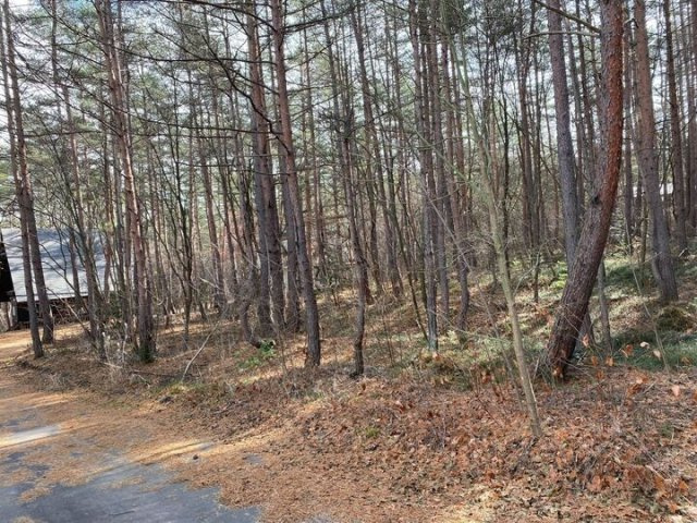 浅間ハイランドパーク奥まった静寂な場所の角地の前面道路含む現地写真