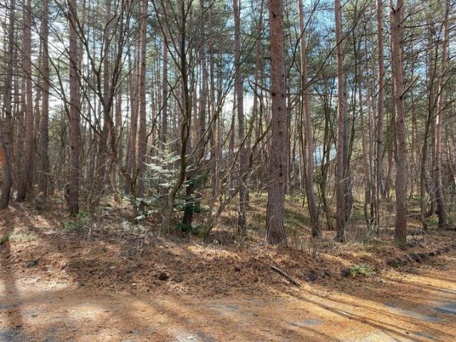 浅間ハイランドパーク奥まった静寂な場所の角地のその他