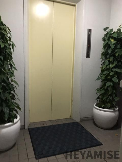 プラス・ドゥ・カネガエのその他共用部分