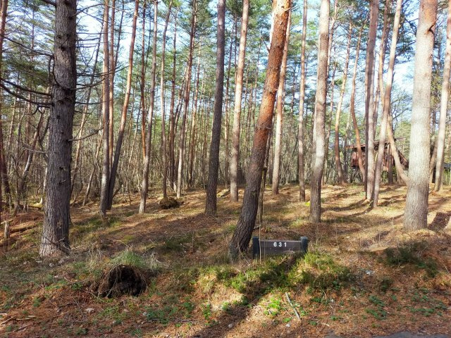 分譲地内／リゾート物件　別荘地管理規約ありのその他