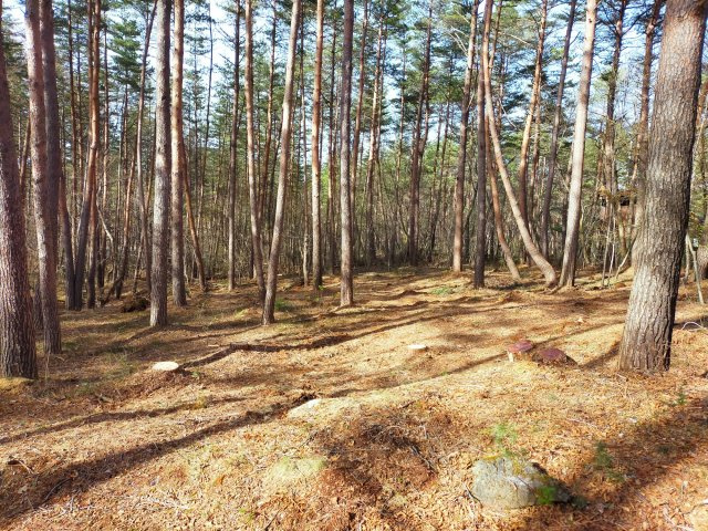 分譲地内／リゾート物件　別荘地管理規約ありのその他