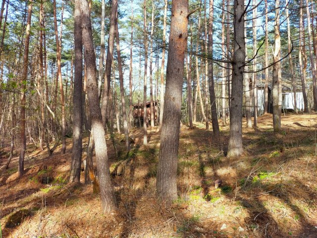 分譲地内／リゾート物件　別荘地管理規約ありのその他