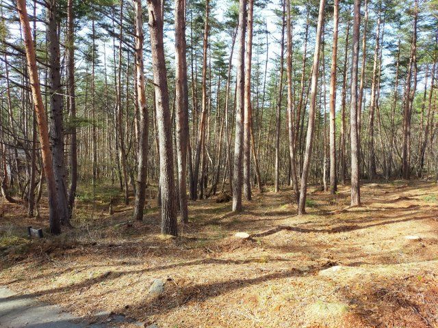 分譲地内／リゾート物件　別荘地管理規約ありのその他