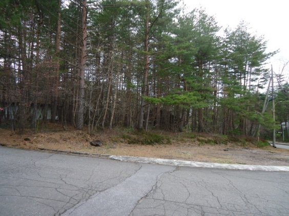 北軽井沢 浅間ハイランドパーク セキュリティーゲートすぐ！