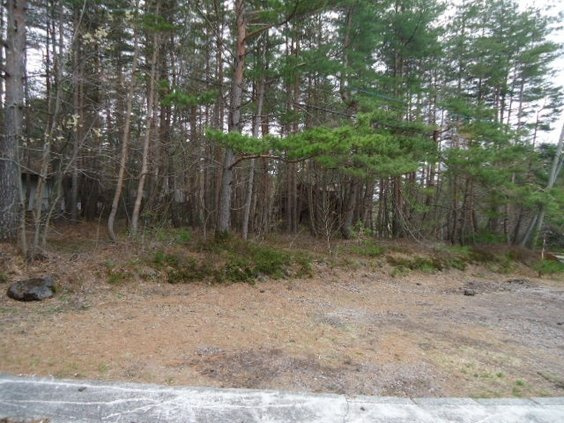 北軽井沢 浅間ハイランドパーク セキュリティーゲートすぐ!の前面道路含む現地写真