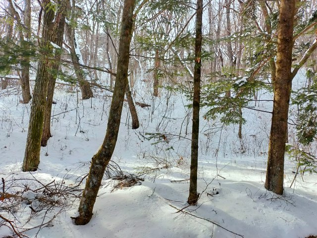 千ヶ滝 東区 3,000㎡越えの土地のその他