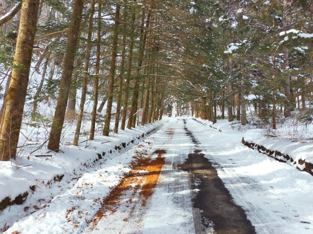 千ヶ滝 東区 3,000㎡越えの土地の前面道路含む現地写真