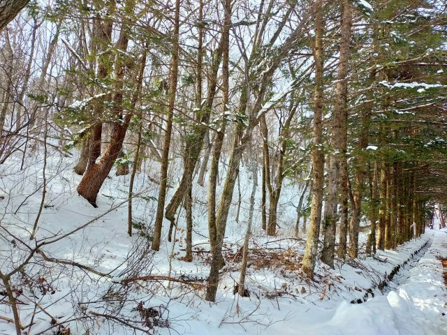 千ヶ滝 東区 3,000㎡越えの土地のその他