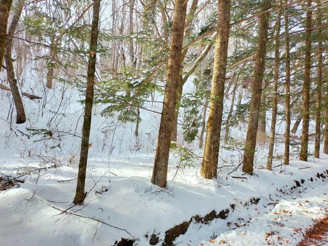 千ヶ滝 東区 3,000㎡越えの土地のその他