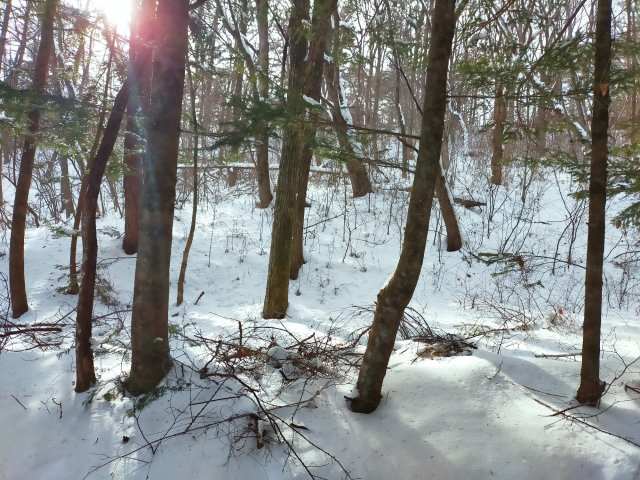 千ヶ滝 東区 3,000㎡越えの土地のその他