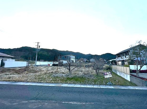 土地　高木