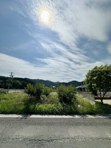 土地　高木の外観