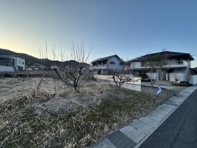 土地　高木の外観