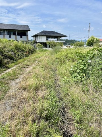 土地　高木の外観