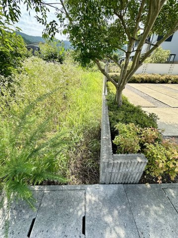 土地　高木の外観