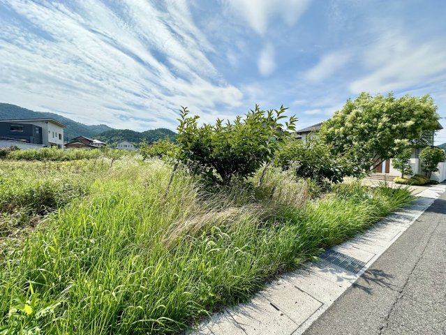 土地　高木の外観