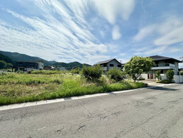 土地　高木の前面道路含む現地写真