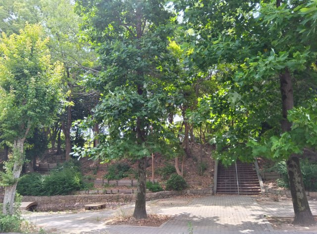 南武庫之荘１丁目　中古戸建の周辺|南側約50ｍ　大井戸公園