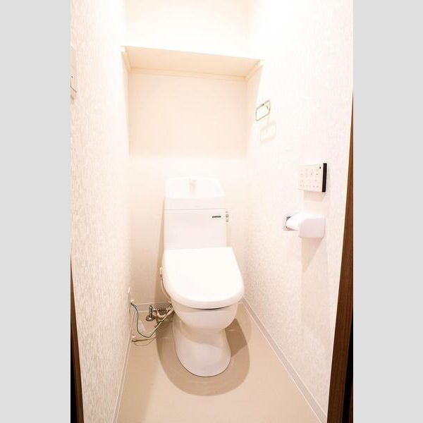 プルメリア東正雀のトイレ