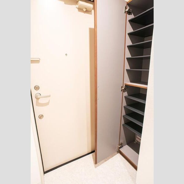 プルメリア東正雀の玄関