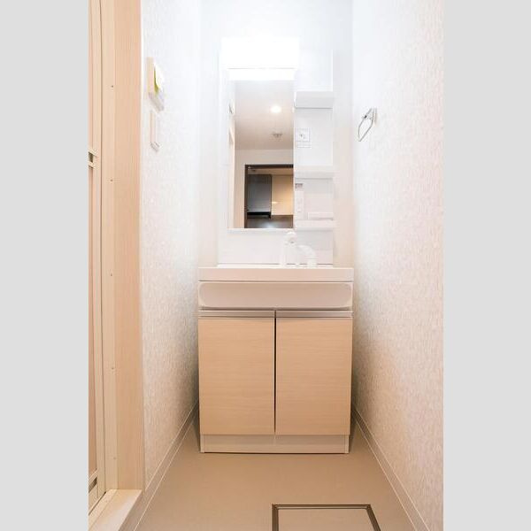 プルメリア東正雀の独立洗面台