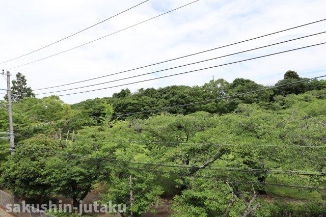 八千代台東３丁目　中古戸建の展望|目の前は近隣公園！開放的！