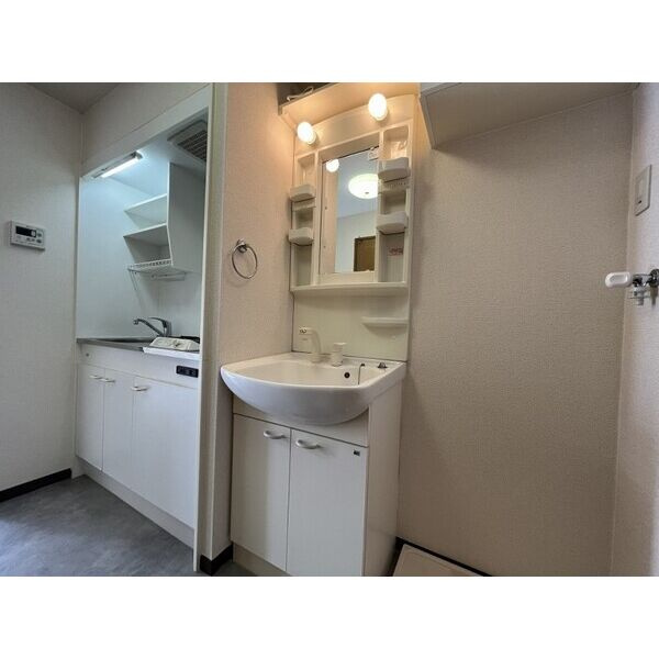 Sunny Cosmoの洗面所