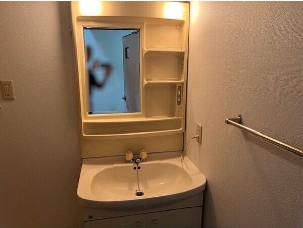 メゾンシンデレラの洗面所