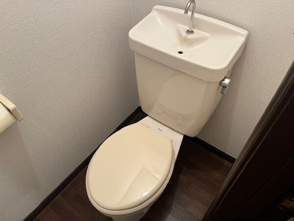 メゾンシンデレラのトイレ