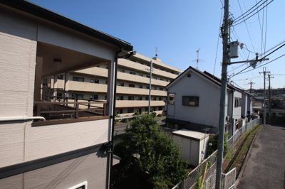 【展望】 | Peer Court