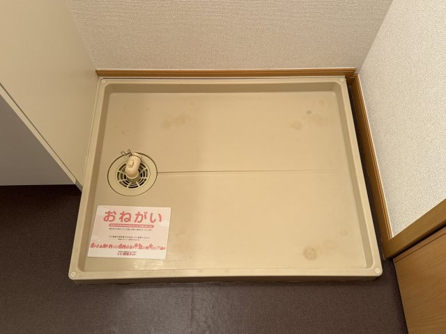 プリムローズのその他